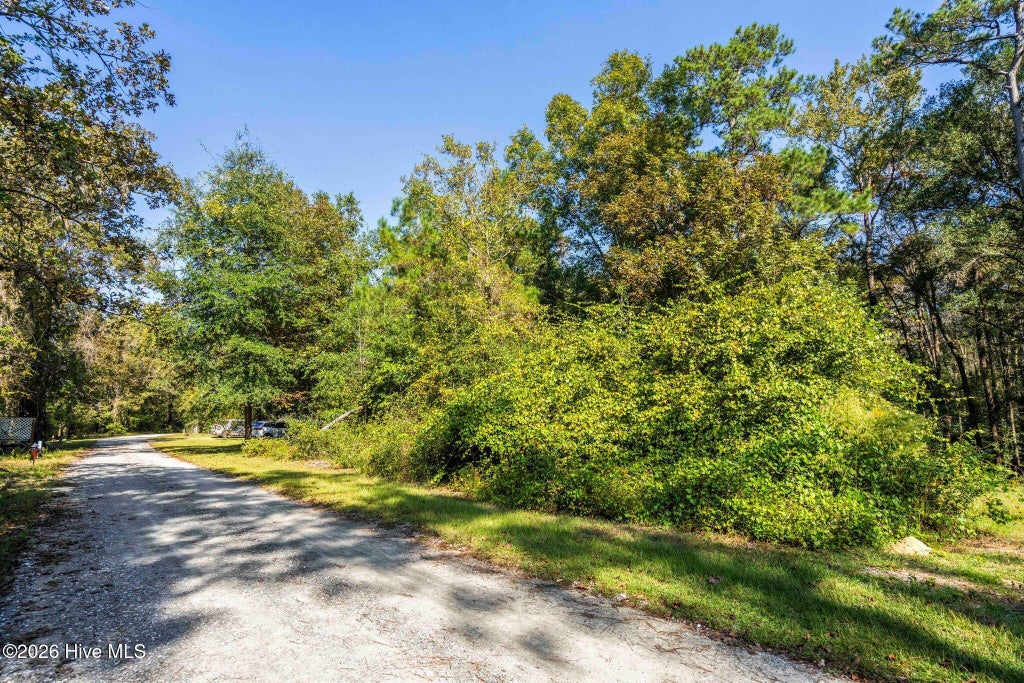 Photo of 5 Riverview Drive, Burgaw, NC 28425 (MLS # 100611798)
