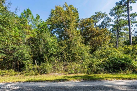 Tiny photo for 5 Riverview Drive, Burgaw, NC 28425 (MLS # 100611798)