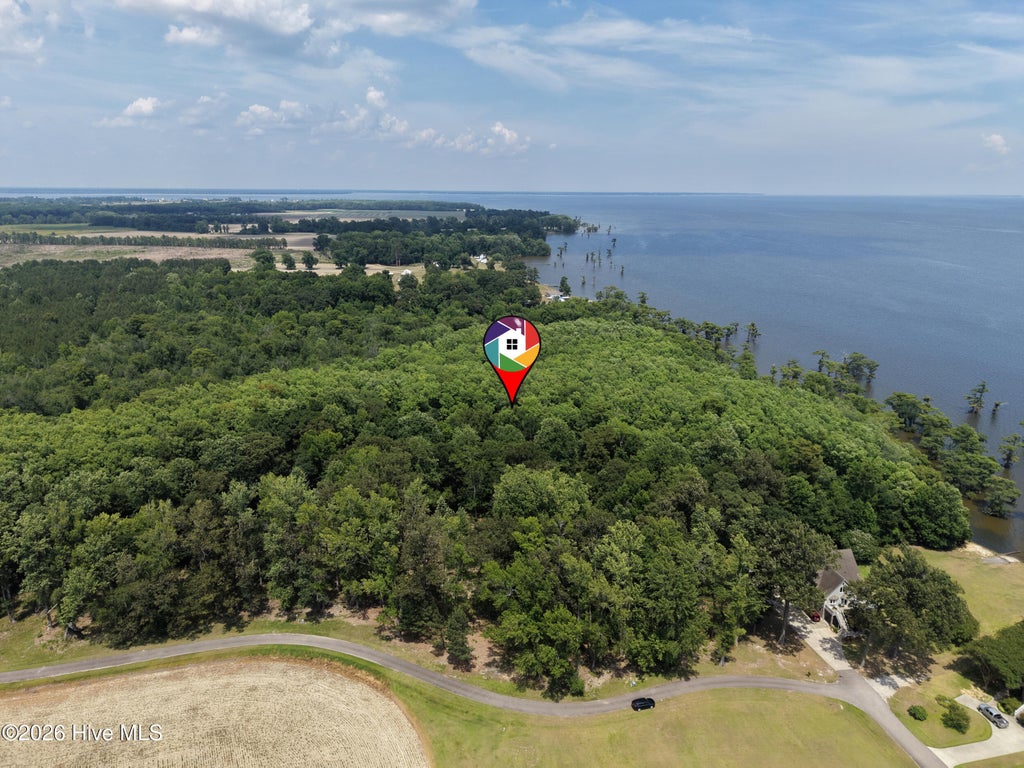 Photo of 460 Batchelor Bay Drive, Windsor, NC 27983 (MLS # 100581873)
