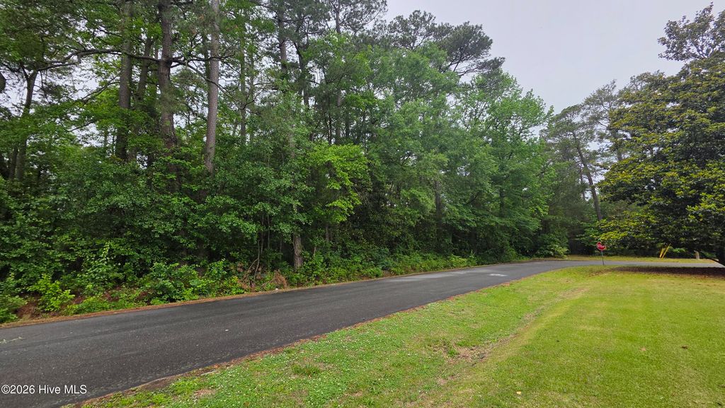 Photo of 1907 N Berkely Blvd. Boulevard, Goldsboro, NC 27534 (MLS # 100570702)