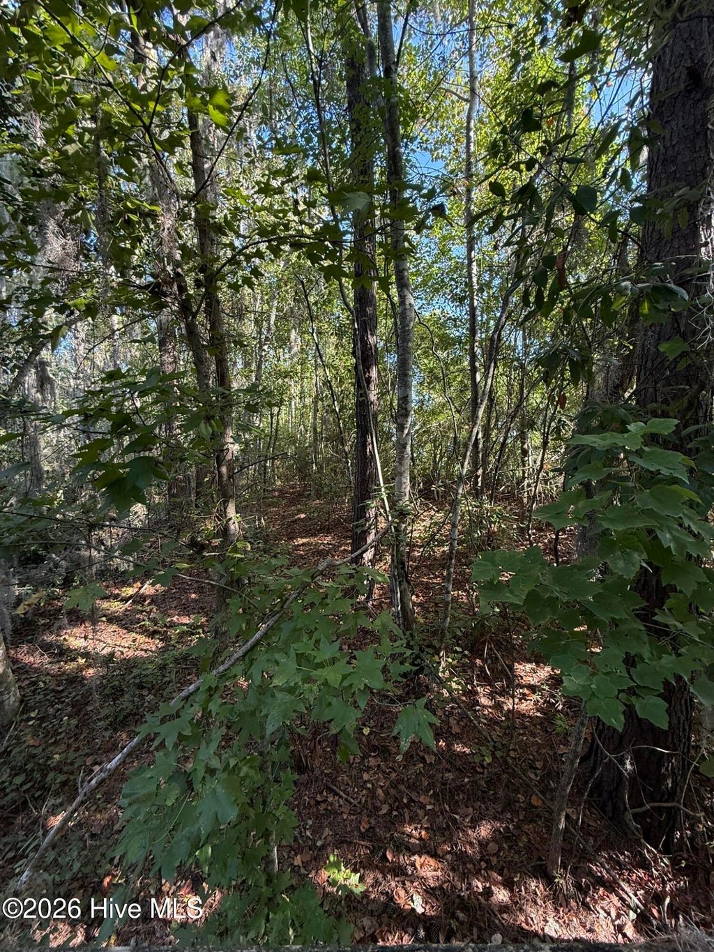 Photo of 0 Eagle View Lane, Blounts Creek, NC 27814 (MLS # 100603411)