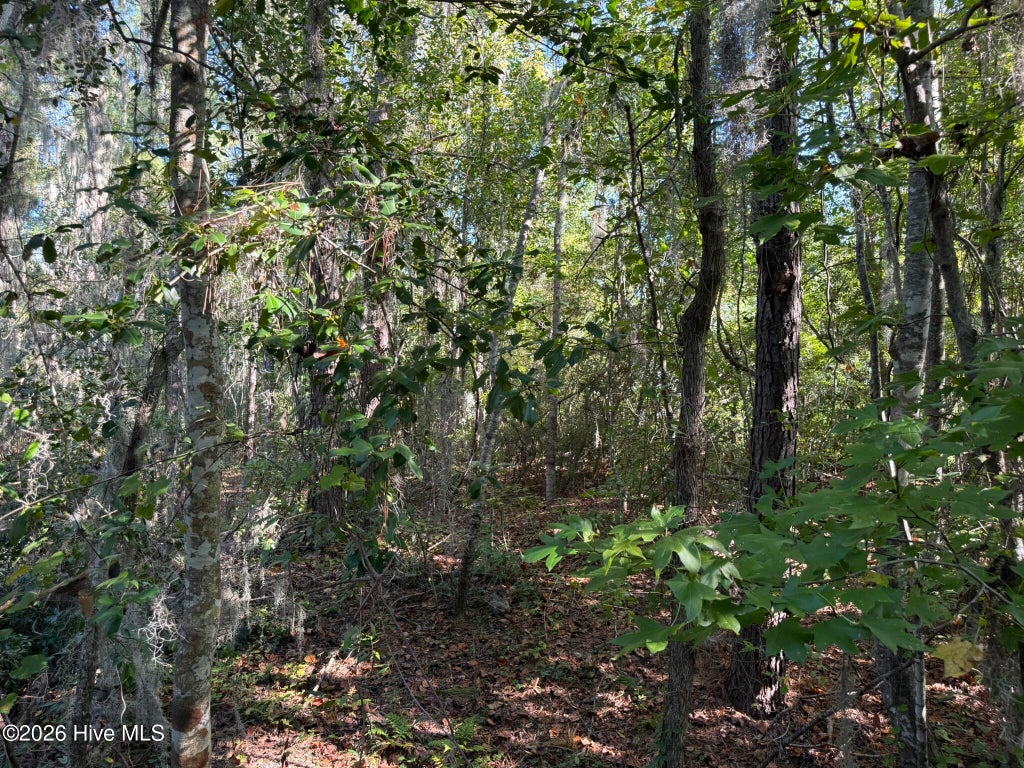 Photo of 0 Eagle View Lane, Blounts Creek, NC 27814 (MLS # 100603411)