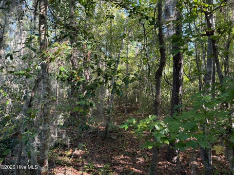 Vacant Land For Sale - Eagle View Lane<br/> Blounts Creek, NC 27814
