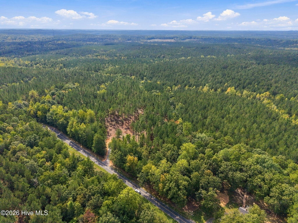 Photo of 1 Capelsie Road, Candor, NC 27229 (MLS # 100609053)