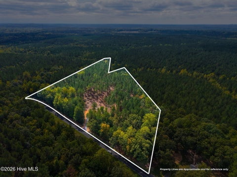Vacant Land For Sale - LOT 1 Capelsie Road<br/> Candor, NC 27229