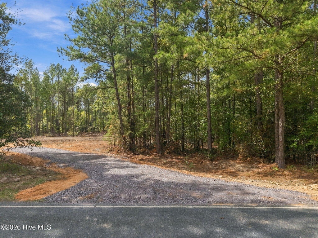 Photo of 1 Capelsie Road, Candor, NC 27229 (MLS # 100609053)