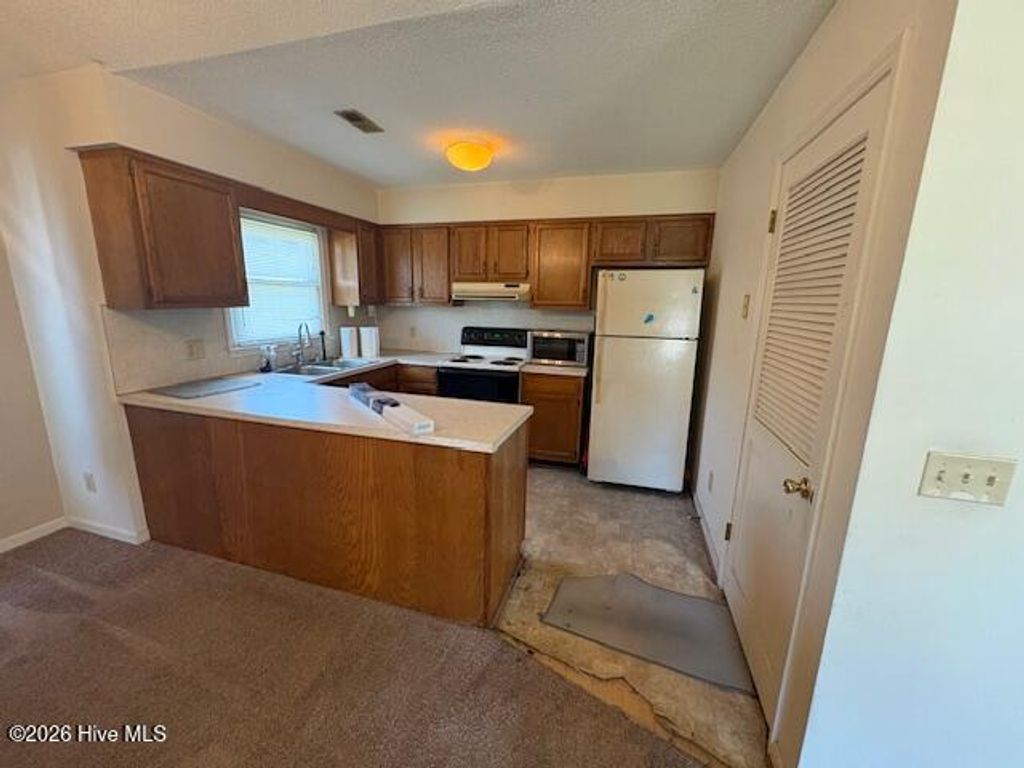 Photo of 143 W Victoria Court, Greenville, NC 27834 (MLS # 100560891)