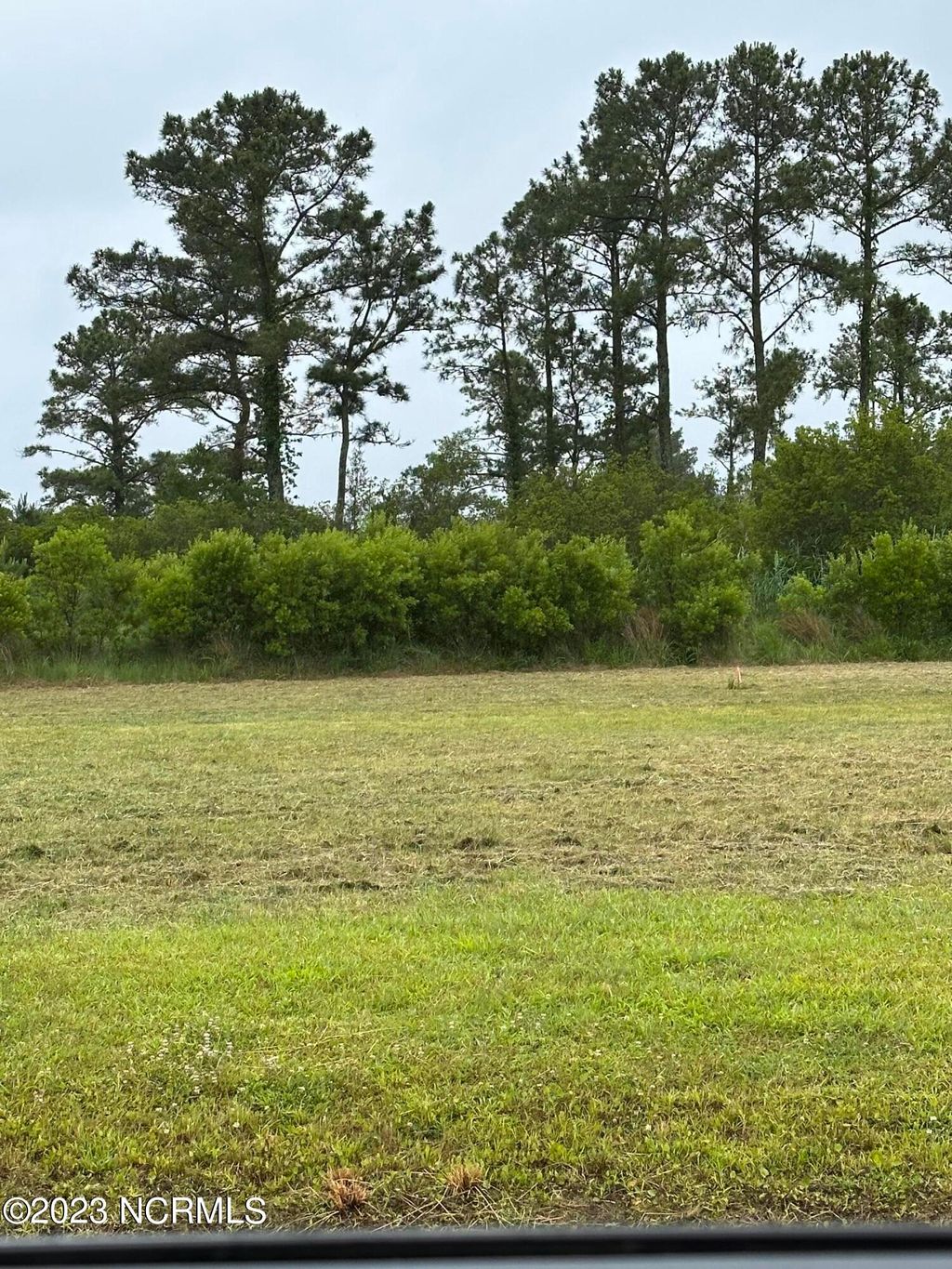 Photo of 342 Battalina Lane, Belhaven, NC 27810 (MLS # 100545822)