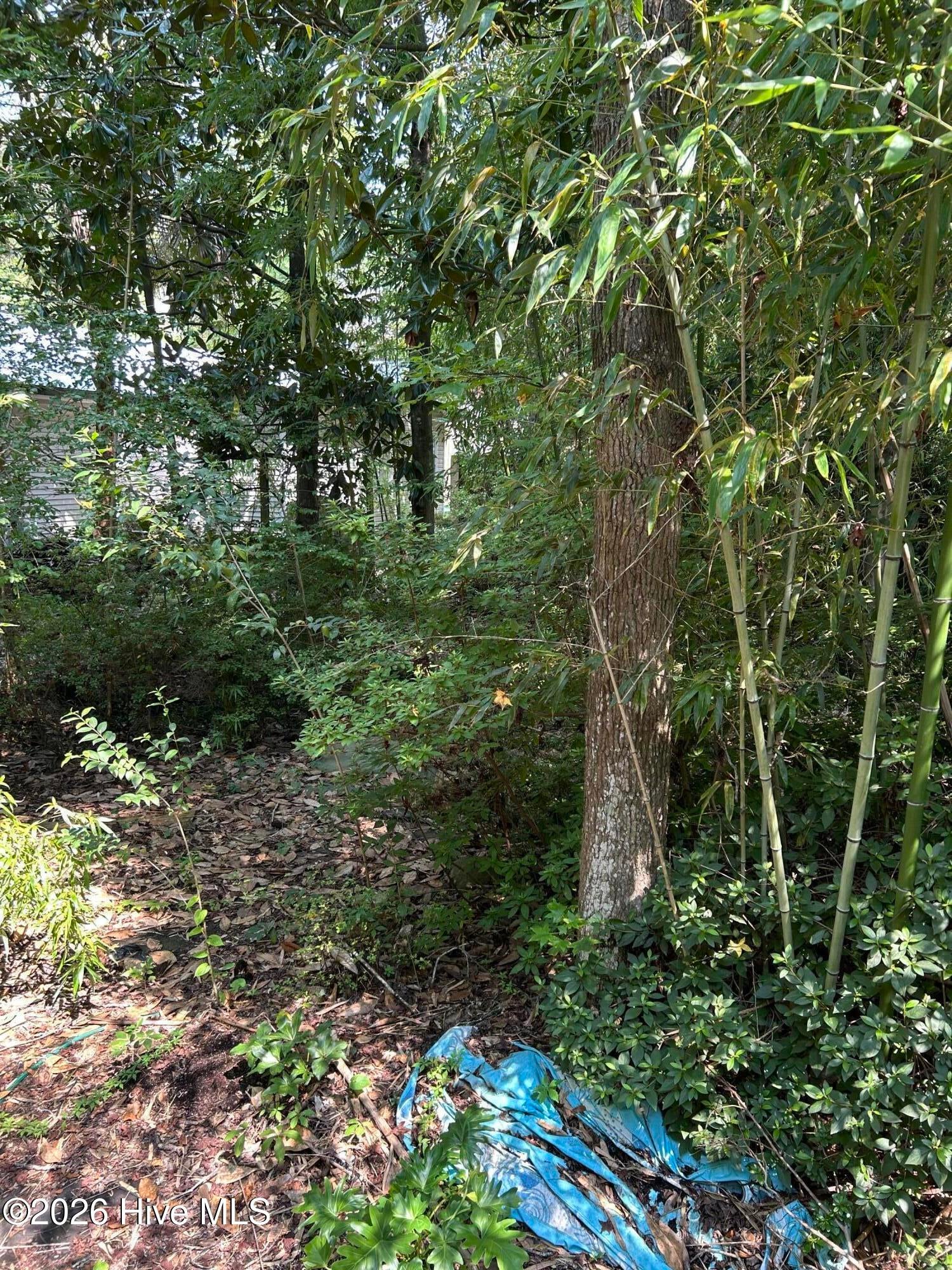 223 Bagley Avenue