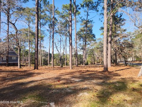 Photo of 904 Snow Goose Drive, Shallotte, NC 28470 (MLS # 100547774)