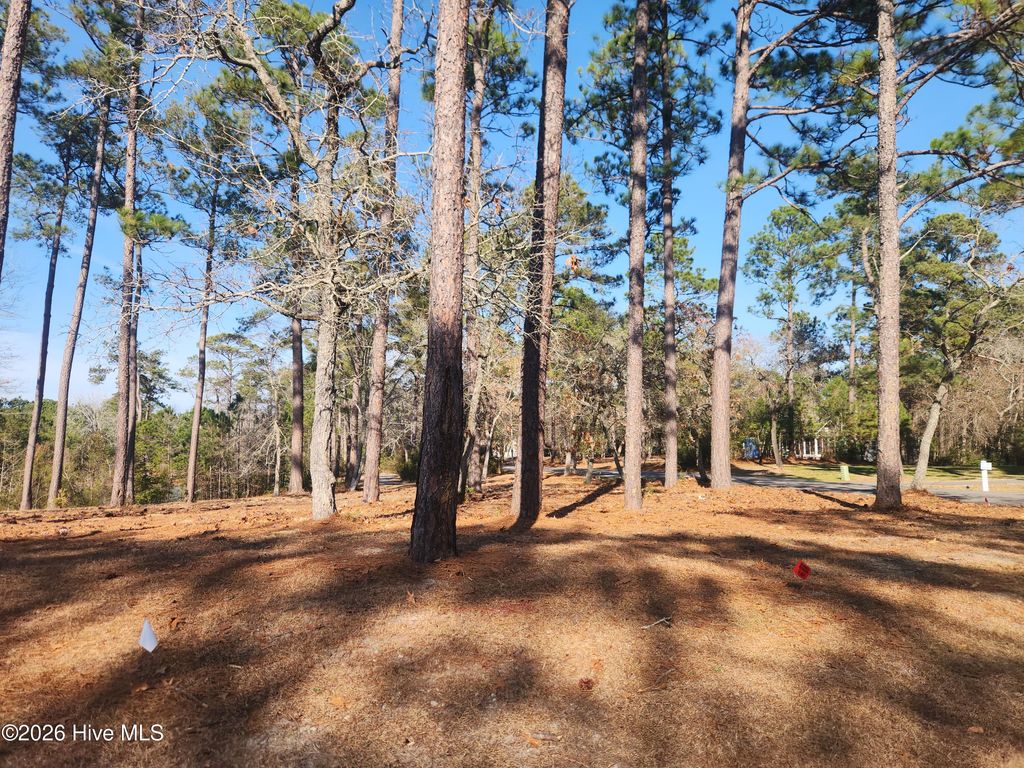 Photo of 904 Snow Goose Drive, Shallotte, NC 28470 (MLS # 100547774)