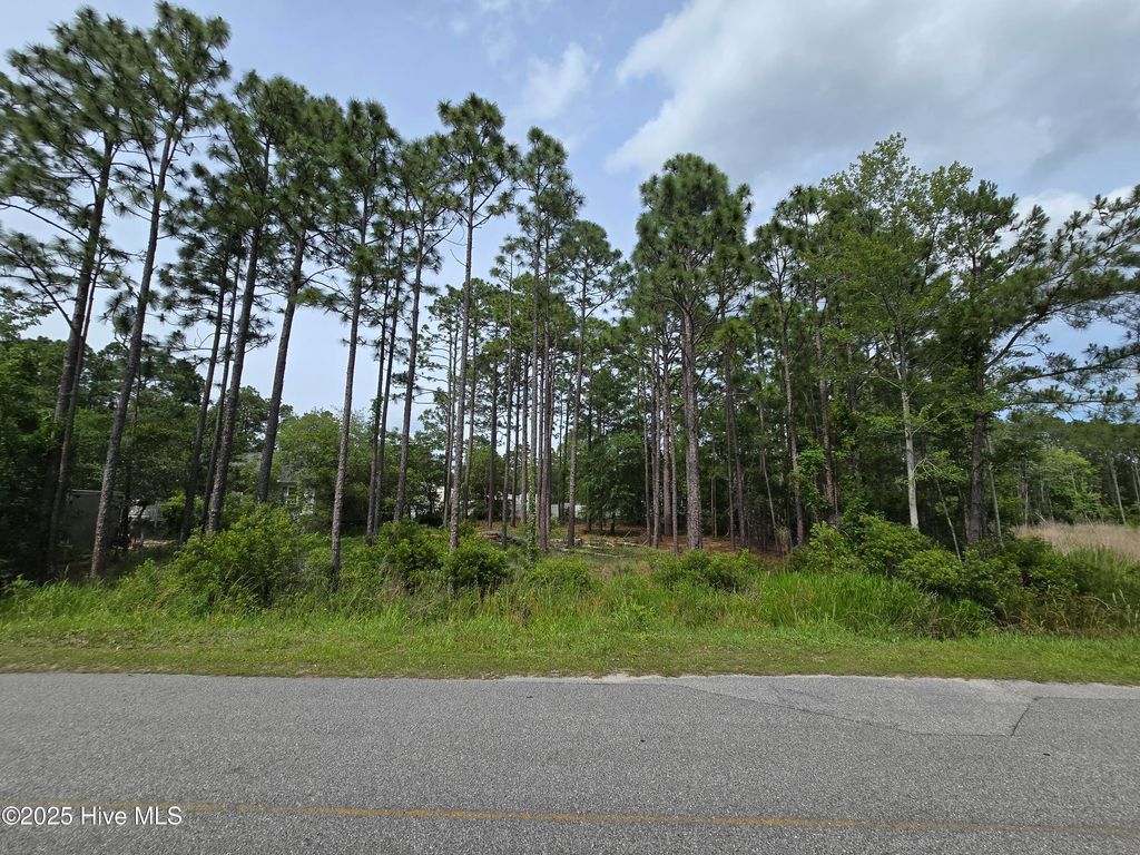 Photo of 186 Cherry Road, Southport, NC 28461 (MLS # 100570585)