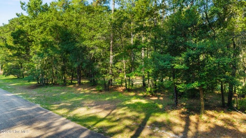 Vacant Land For Sale - 230 River Woods Drive<br/> Wallace, NC 28466