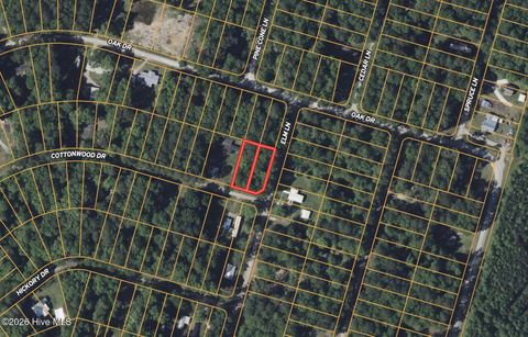 Lot #49&50 Cottonwood Drive Blounts Creek NC 27814