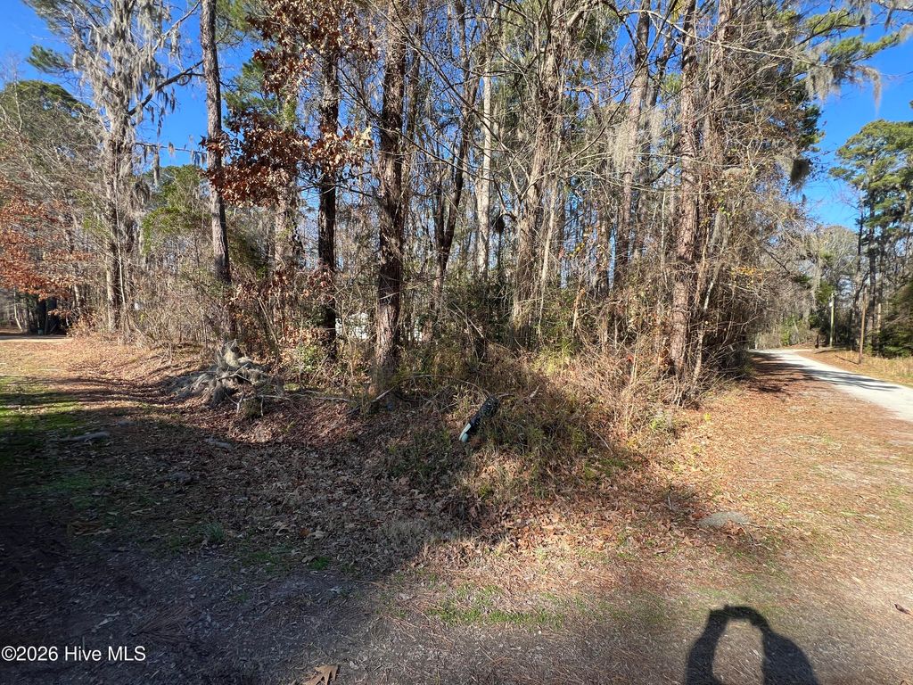 Photo of 4950 Cottonwood Drive, Blounts Creek, NC 27814 (MLS # 100547766)