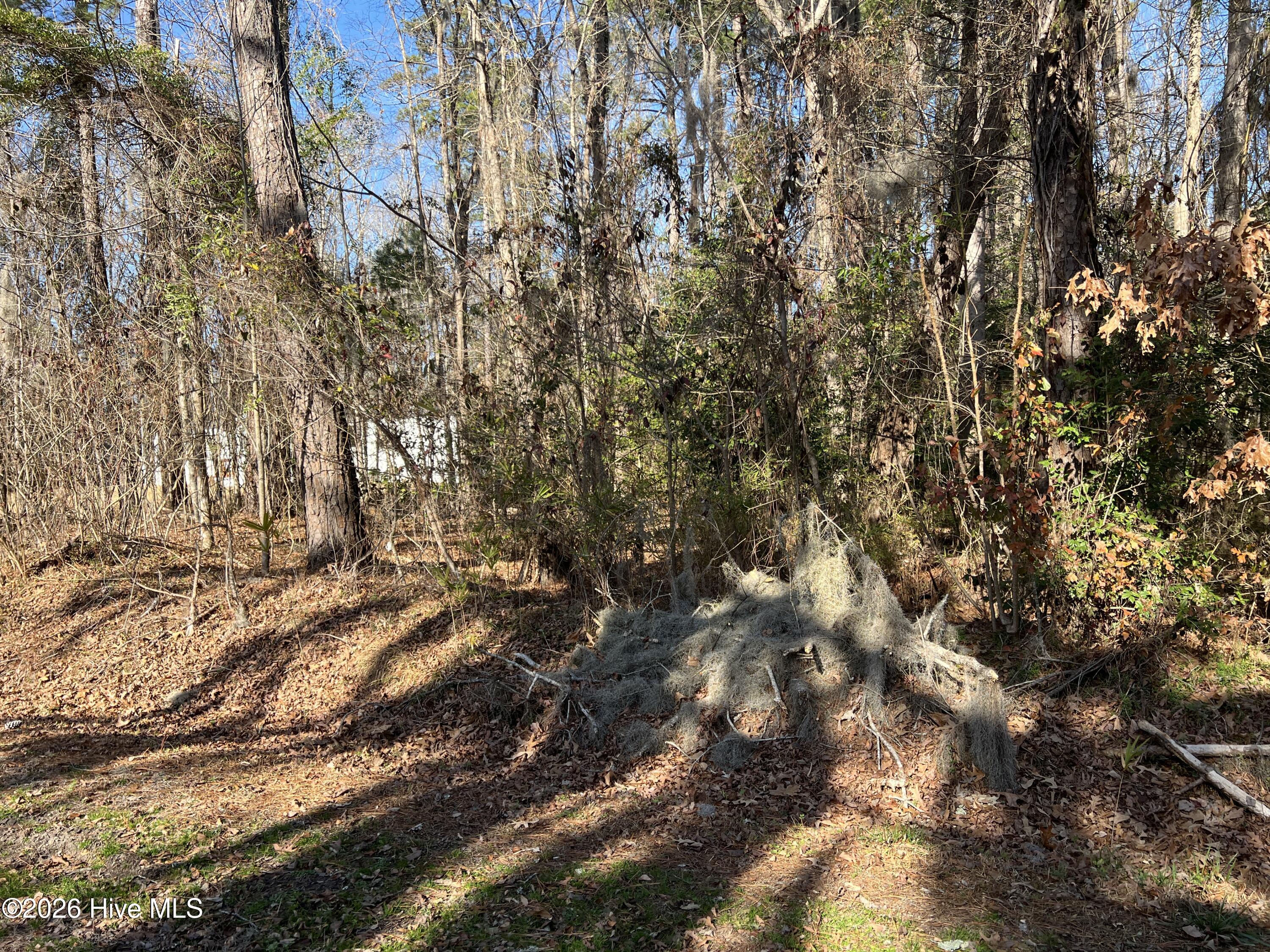 Lot #49&50 Cottonwood Drive
