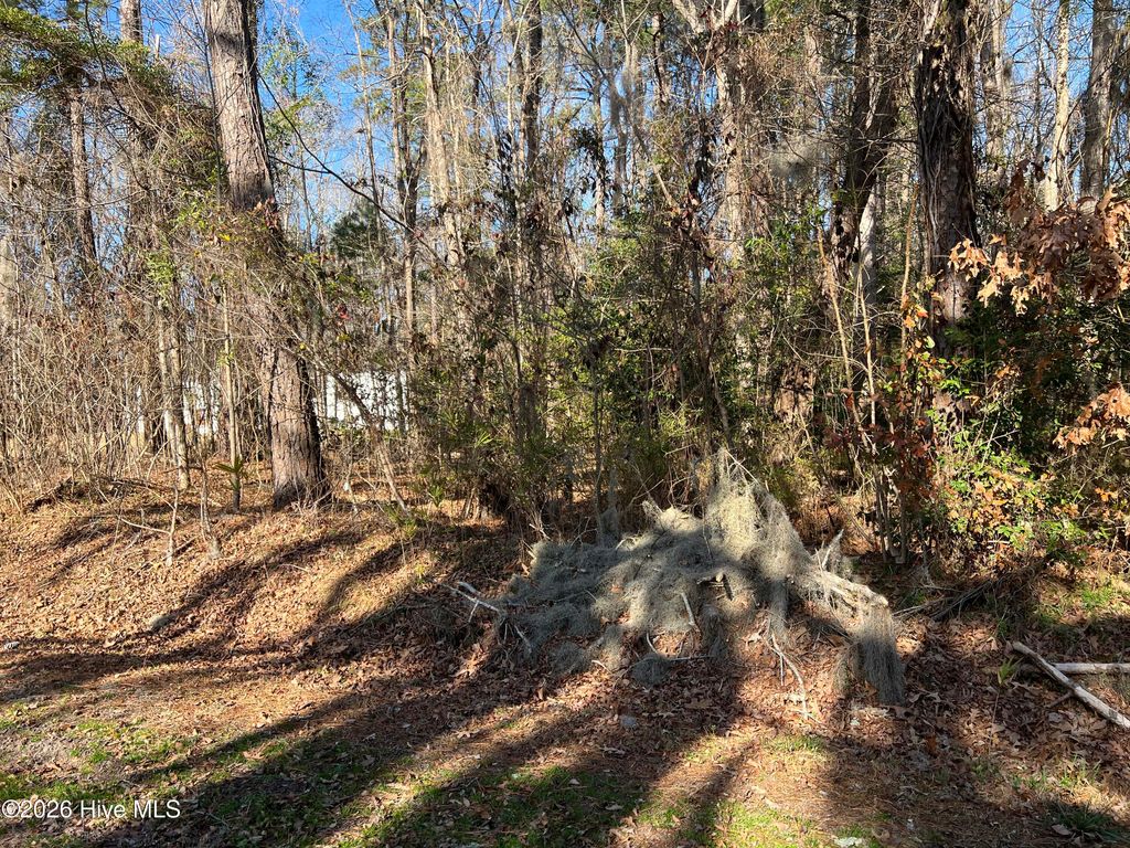 Photo of 4950 Cottonwood Drive, Blounts Creek, NC 27814 (MLS # 100547766)