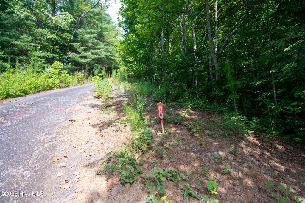 Photo of 94 Desoto Trail, Marble, NC 28905 (MLS # 100588184)