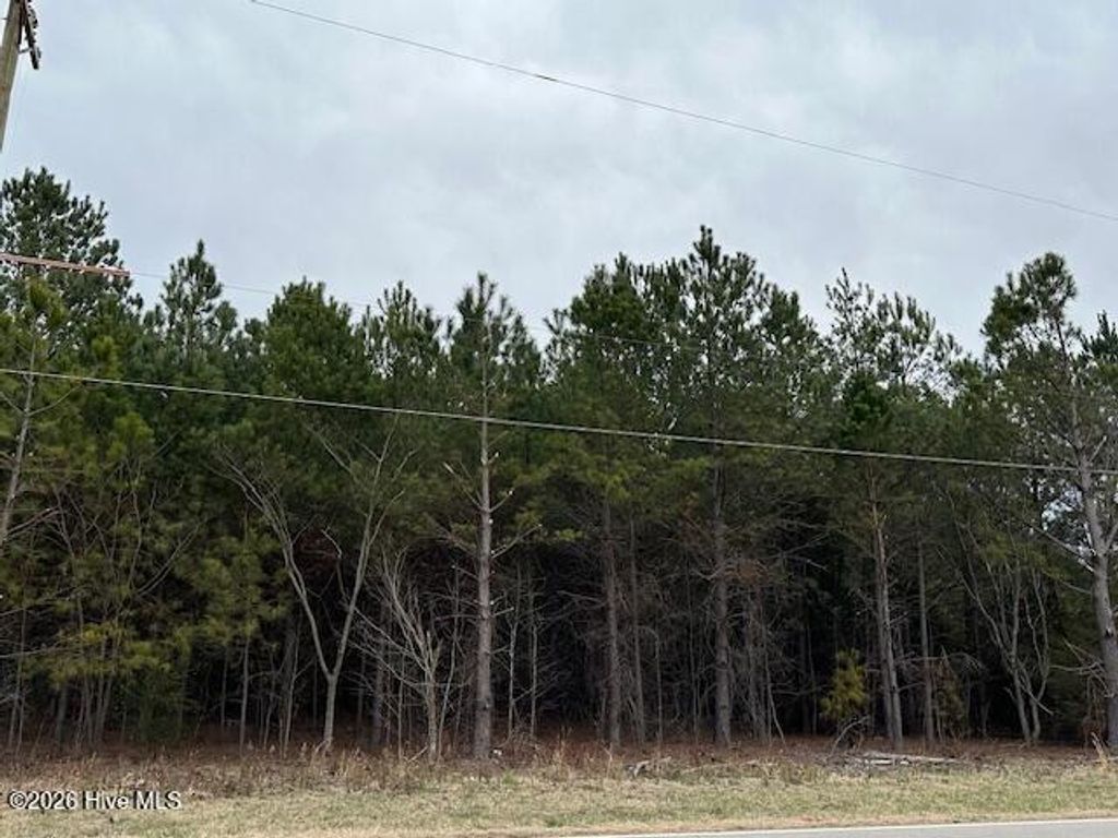 Photo of 0 Peele Road, Rocky Mount, NC 27804 (MLS # 100549986)