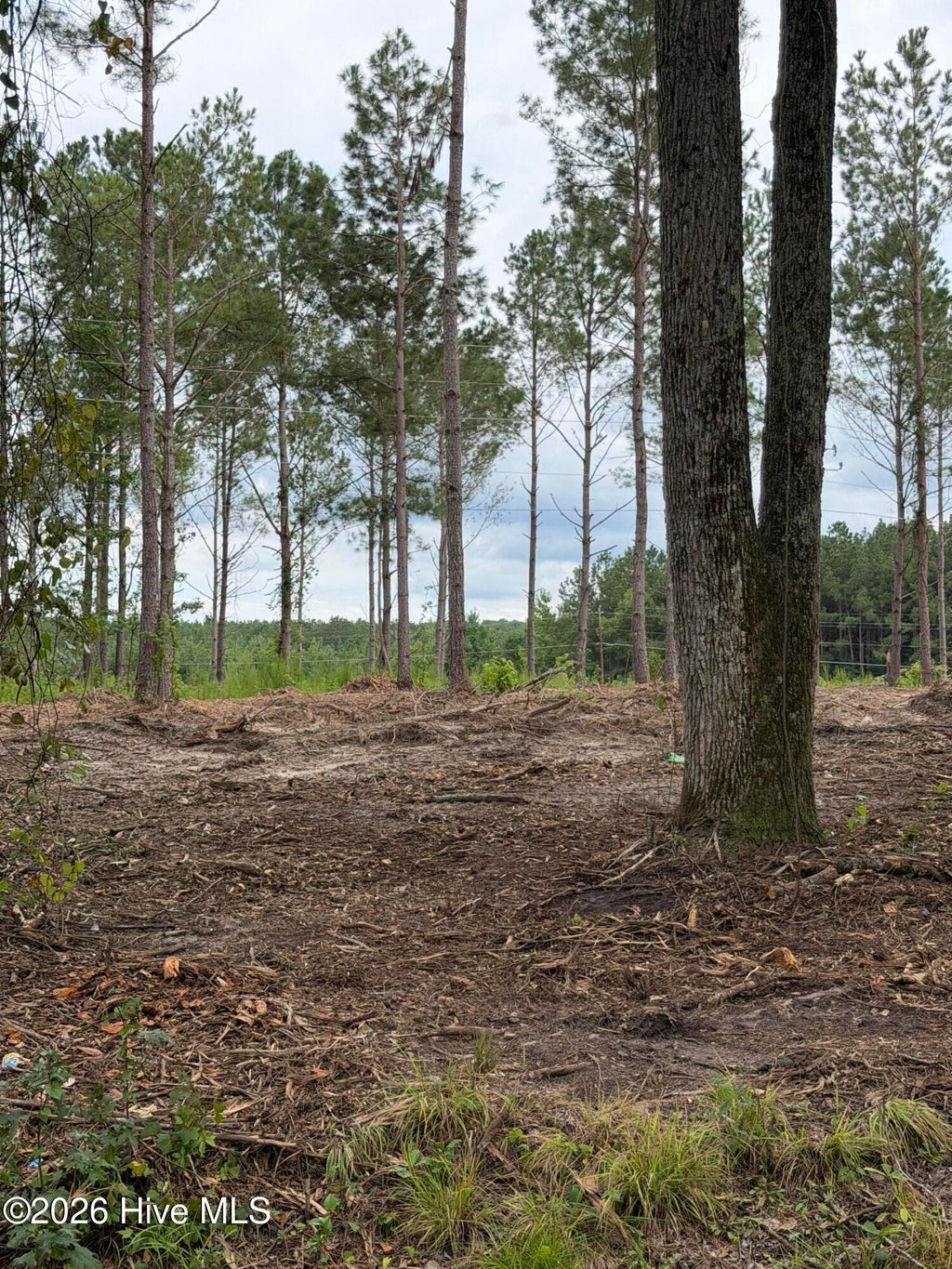 Photo of 4 Elmore, Laurinburg, NC 28352 (MLS # 100599985)