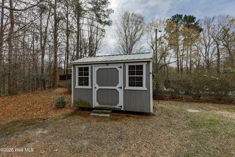 Tiny photo for 381 Washington Creek Drive, Willard, NC 28478 (MLS # 100561299)