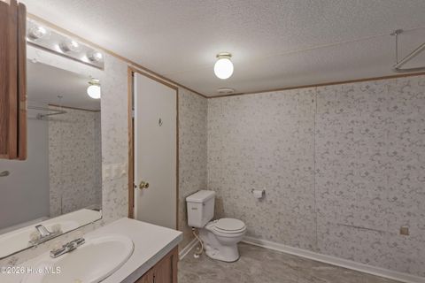 Tiny photo for 381 Washington Creek Drive, Willard, NC 28478 (MLS # 100561299)