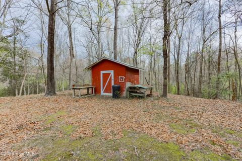 Tiny photo for 381 Washington Creek Drive, Willard, NC 28478 (MLS # 100561299)
