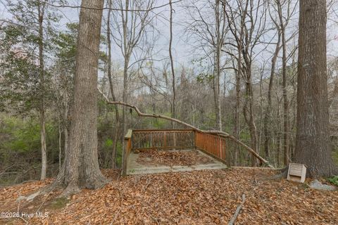 Tiny photo for 381 Washington Creek Drive, Willard, NC 28478 (MLS # 100561299)