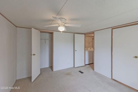 Tiny photo for 381 Washington Creek Drive, Willard, NC 28478 (MLS # 100561299)