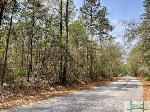Vacant Land For Sale - Pleasant Acres Road<br/> Springfield, GA 31329
