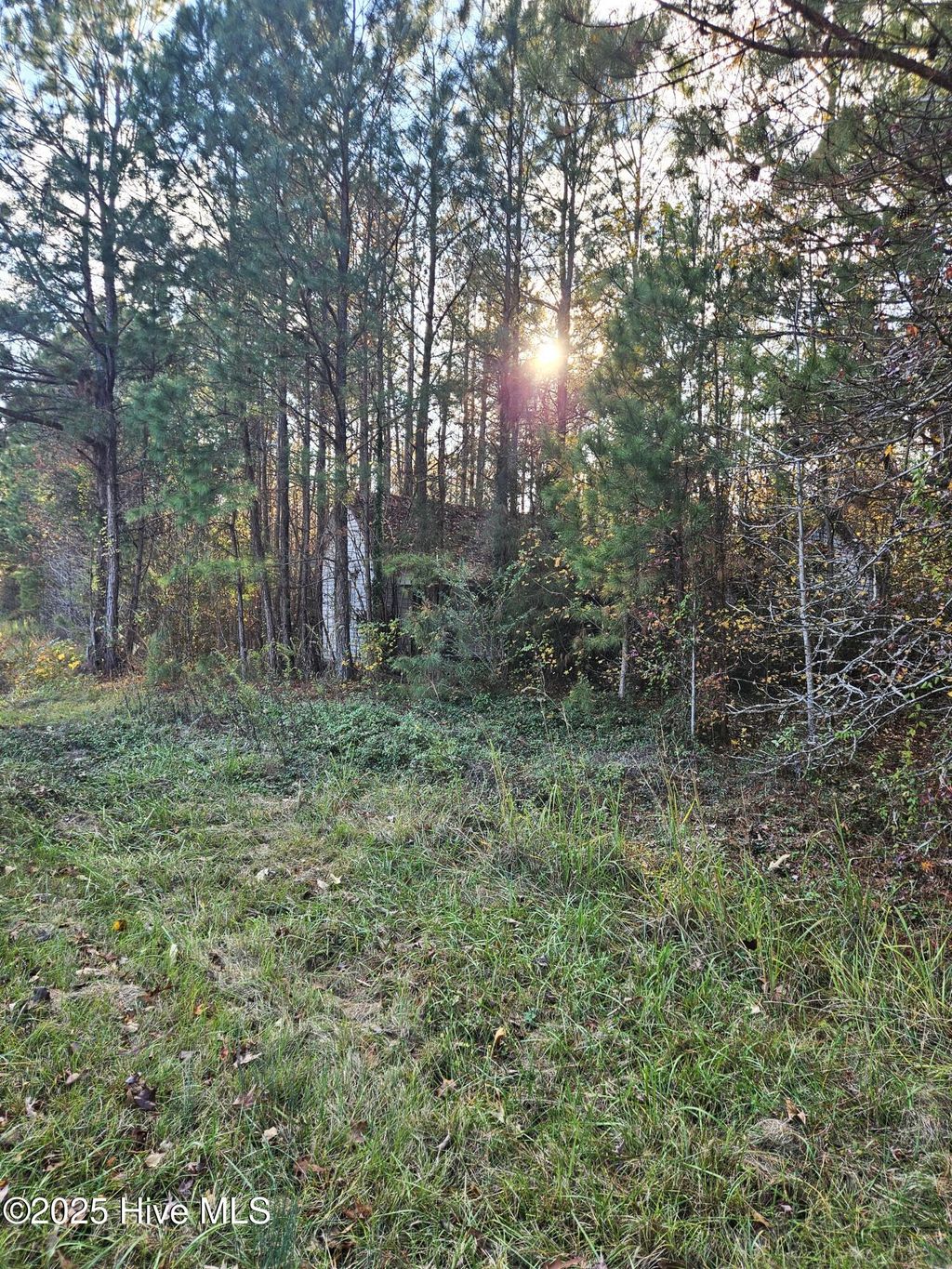 Photo of 3840 Pridgen Road, Rocky Mount, NC 27803 (MLS # 100544895)