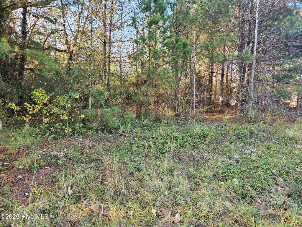 Photo of 3840 Pridgen Road, Rocky Mount, NC 27803 (MLS # 100544895)