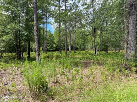 Tiny photo for 361 Ash Road, Boiling Spring Lakes, NC 28461 (MLS # 100594359)
