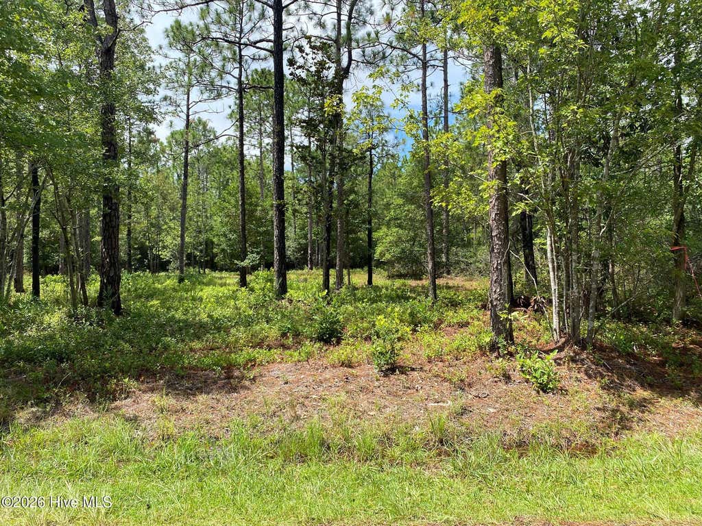 Photo of 361 Ash Road, Boiling Spring Lakes, NC 28461 (MLS # 100594359)
