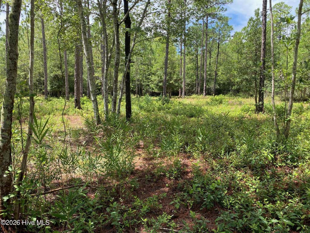 Photo of 361 Ash Road, Boiling Spring Lakes, NC 28461 (MLS # 100594359)