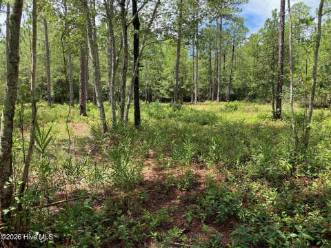 Tiny photo for 361 Ash Road, Boiling Spring Lakes, NC 28461 (MLS # 100594359)