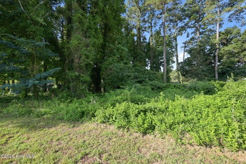 Tiny photo for 195 S Creek Drive, Jacksonville, NC 28540 (MLS # 100593983)