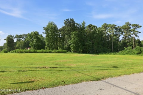 Photo of 195 S Creek Drive, Jacksonville, NC 28540 (MLS # 100593983)