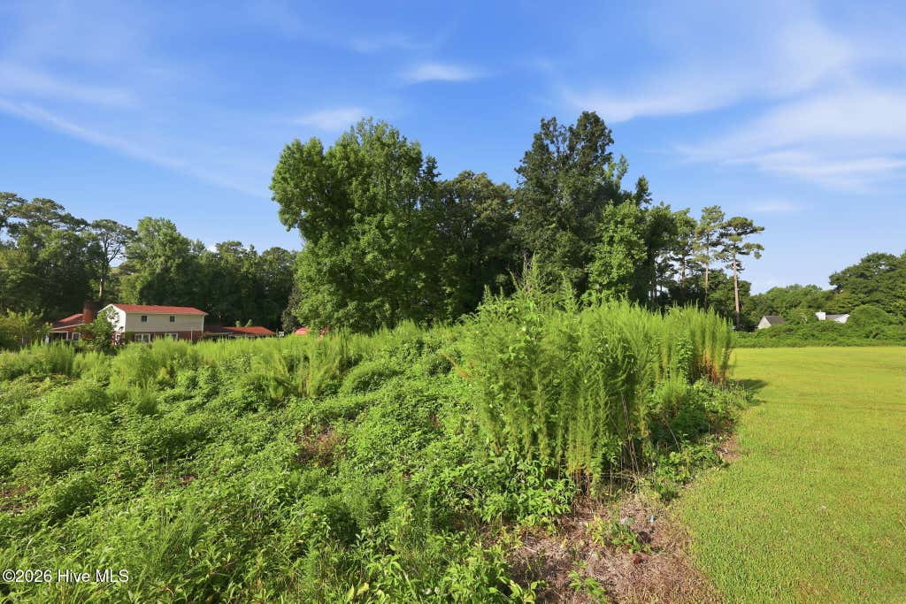 Photo of 195 S Creek Drive, Jacksonville, NC 28540 (MLS # 100593983)