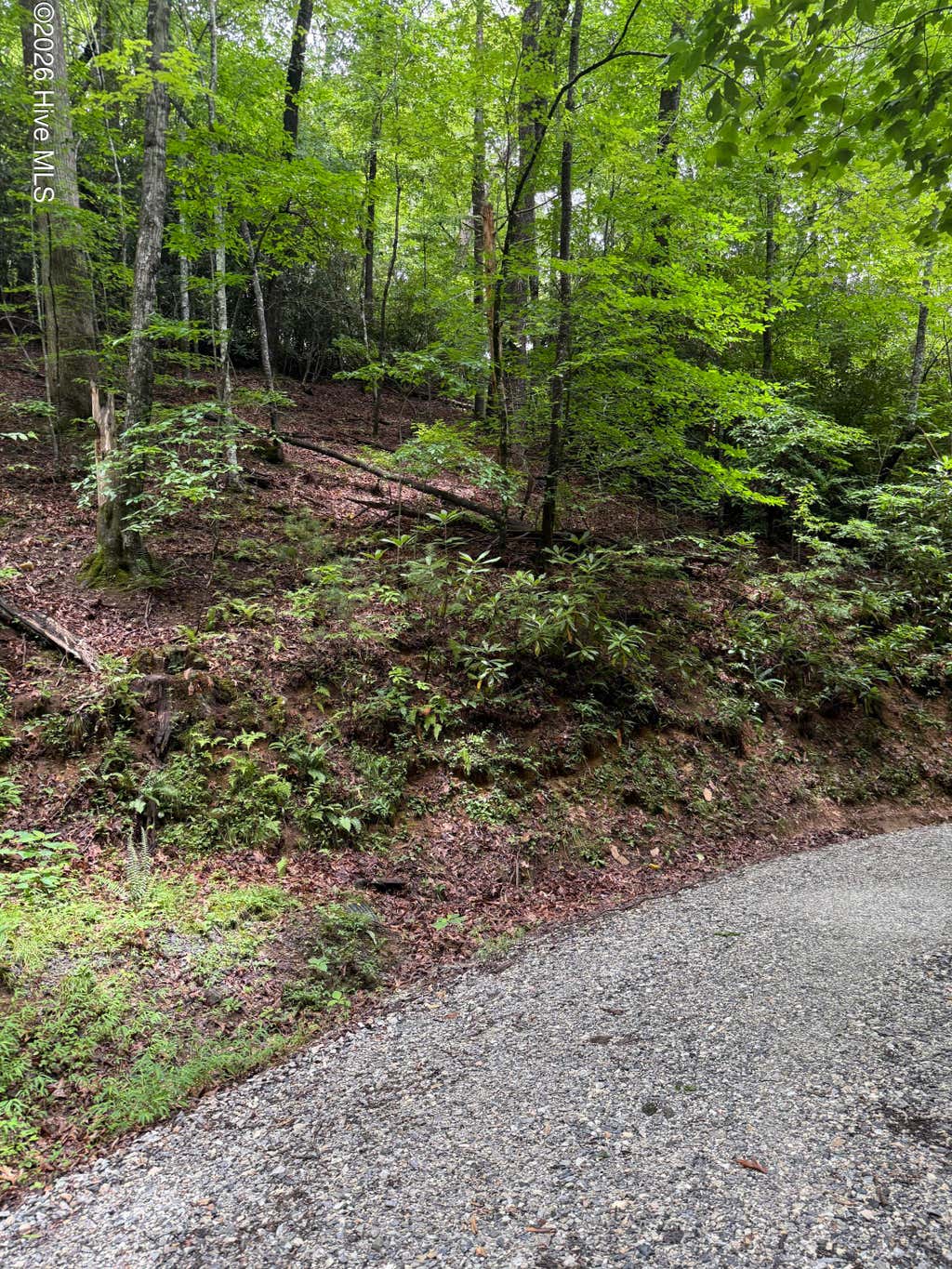 Photo of 9 Indian Lake Road, Topton, NC 28781 (MLS # 100594493)