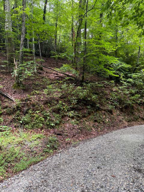 Vacant Land For Sale - 9 Indian Lake Road<br/> Topton, NC 28781