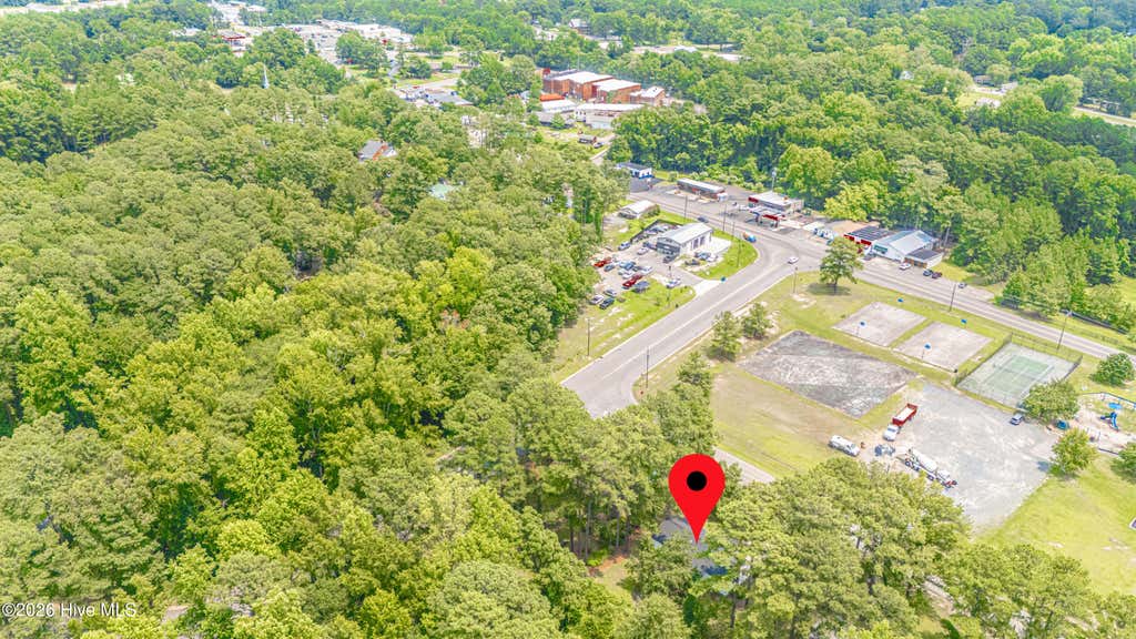 Photo of 224 Holly Street, Vass, NC 28394 (MLS # 100592897)