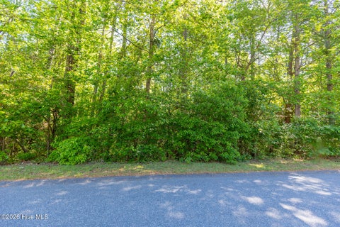 Vacant Land For Sale - 305 Kingswood Circle<br/> Pinehurst, NC 28374