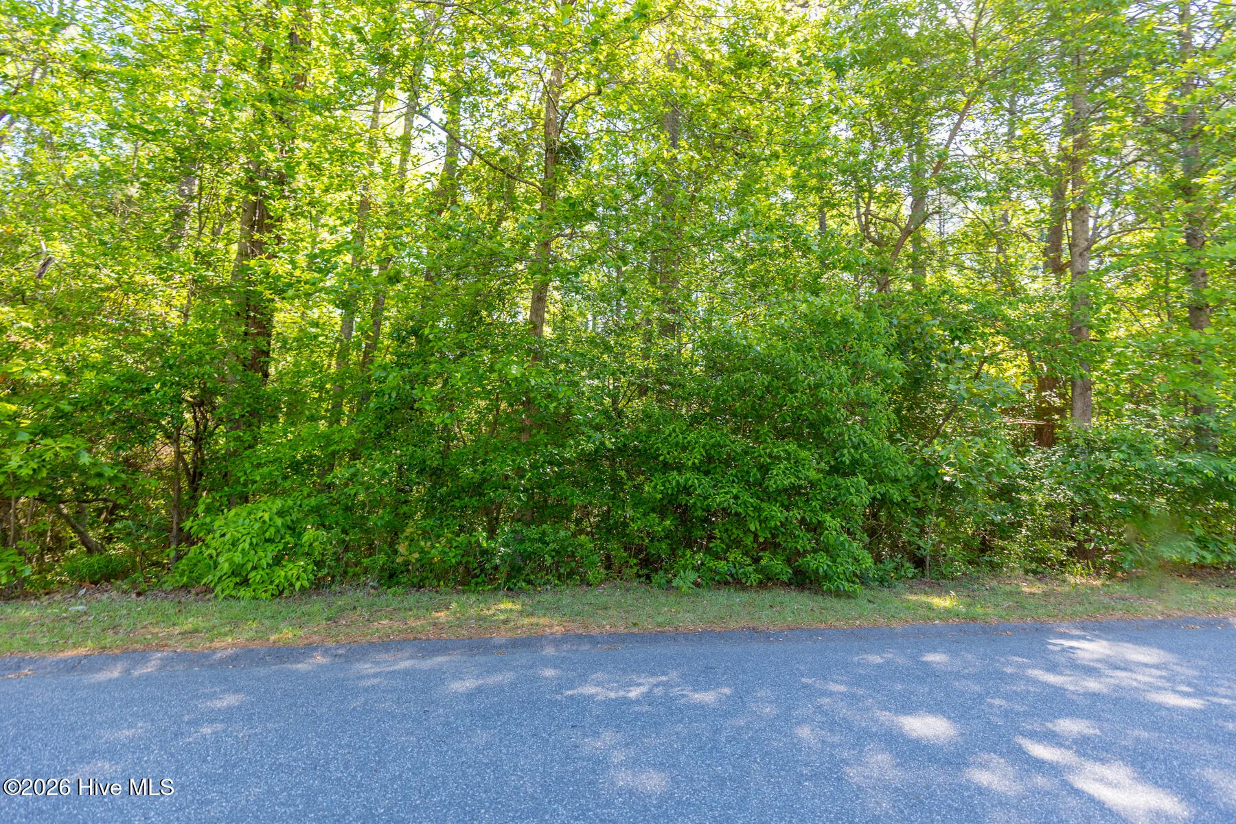305 Kingswood Circle