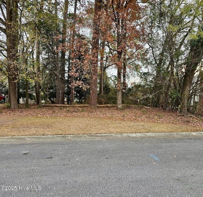 2905 TACOMA DR, KINSTON, NC 28504 - Image 8fd864b8eacc570fdc3cd4ee45d4f2ca/1310416569