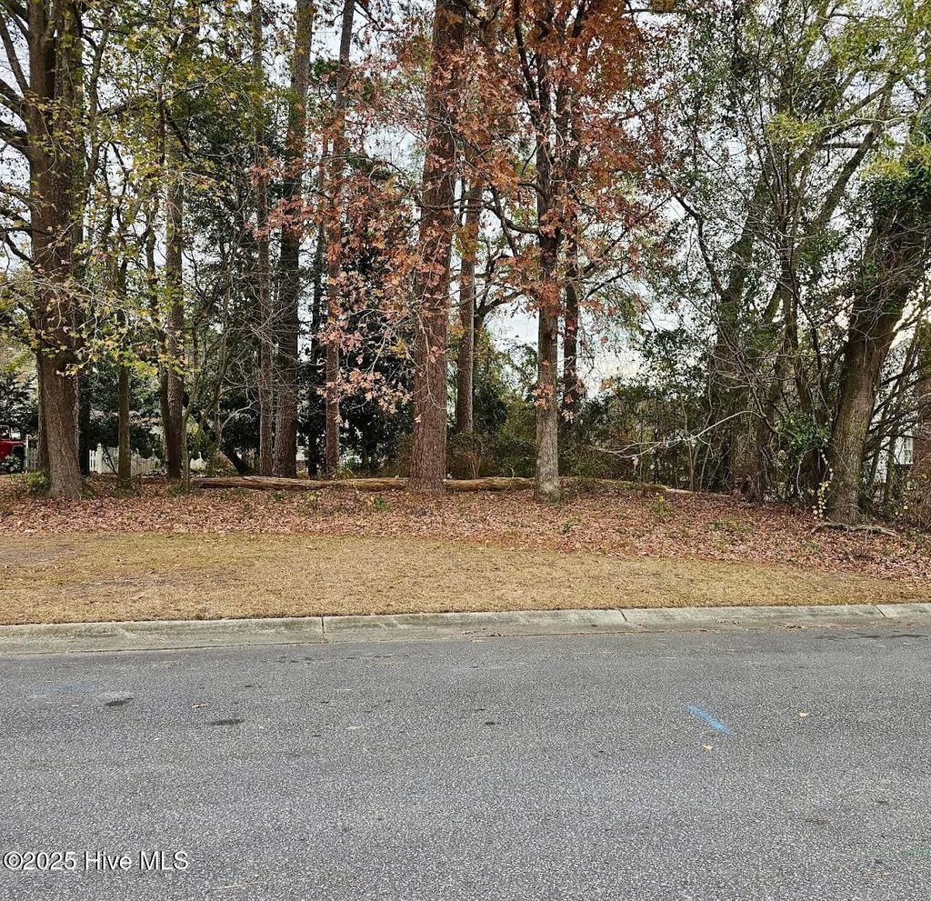 Photo of 2905 Tacoma Drive, Kinston, NC 28504 (MLS # 100552421)