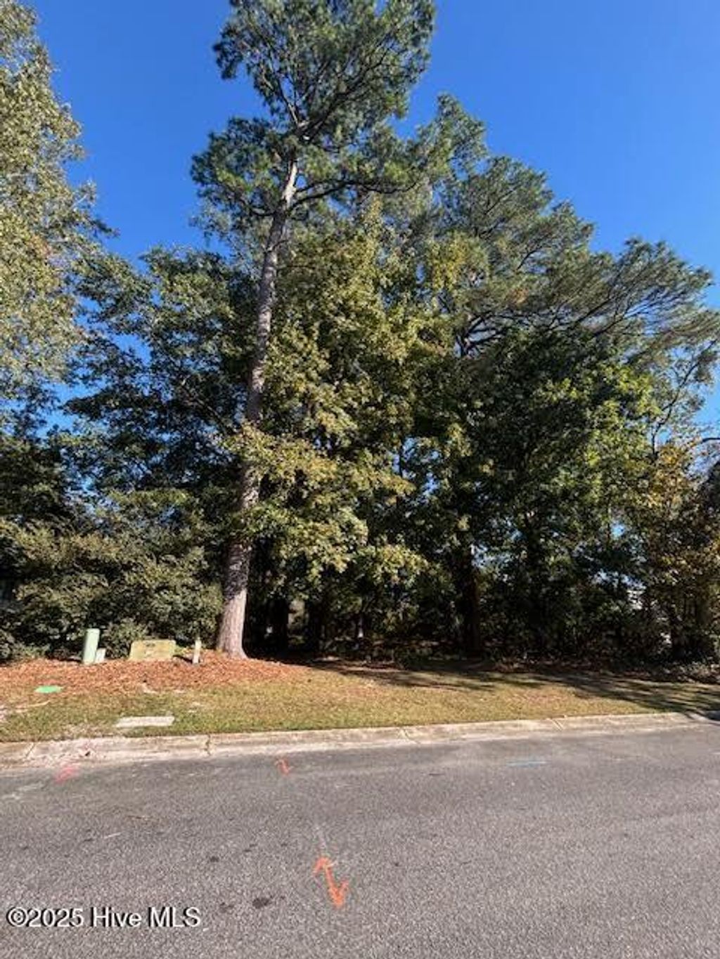 Photo of 2905 Tacoma Drive, Kinston, NC 28504 (MLS # 100552421)