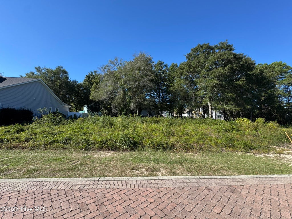 Photo of 4755 Island Walk Drive SW, Shallotte, NC 28470 (MLS # 100611106)