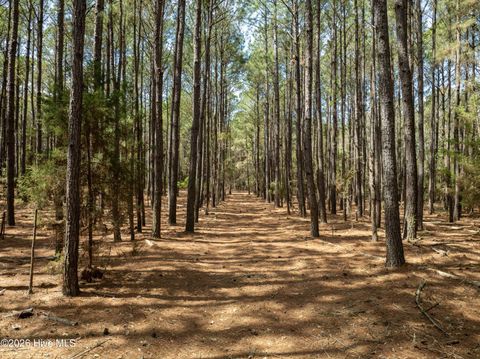 Tiny photo for 0 Odum Drive, Hubert, NC 28539 (MLS # 100564032)