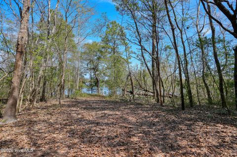 Tiny photo for 0 Odum Drive, Hubert, NC 28539 (MLS # 100564032)